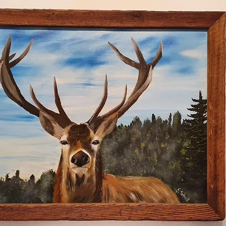 Absolute Active Mountain Apartman *